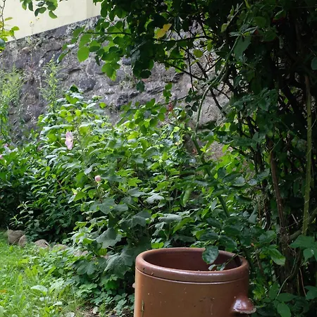 Haus An Der Stadtmauer Hébergement de vacances