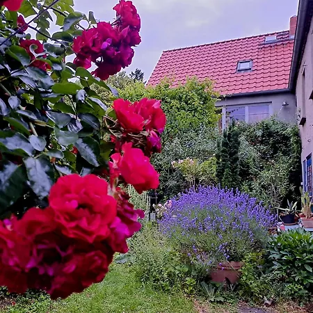 Haus An Der Stadtmauer Hébergement de vacances