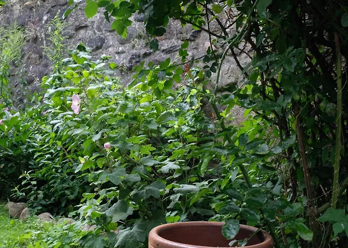 Haus An Der Stadtmauer Semesterbostad