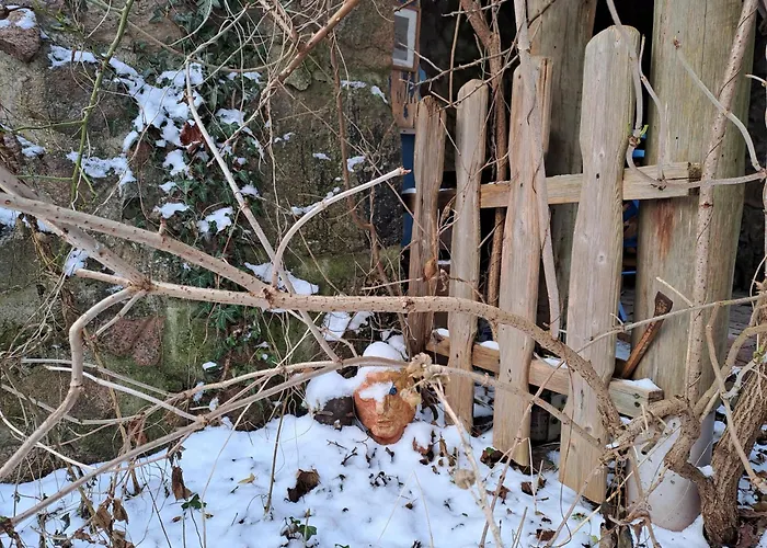 Semesterbostad Haus An Der Stadtmauer *