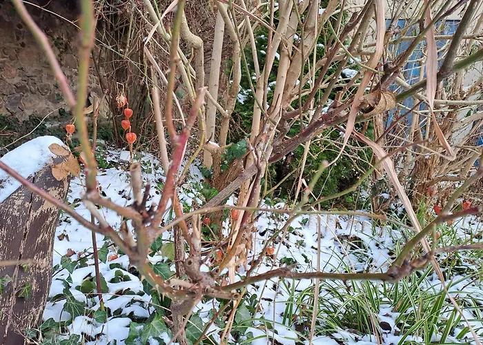 Haus An Der Stadtmauer * Lychen